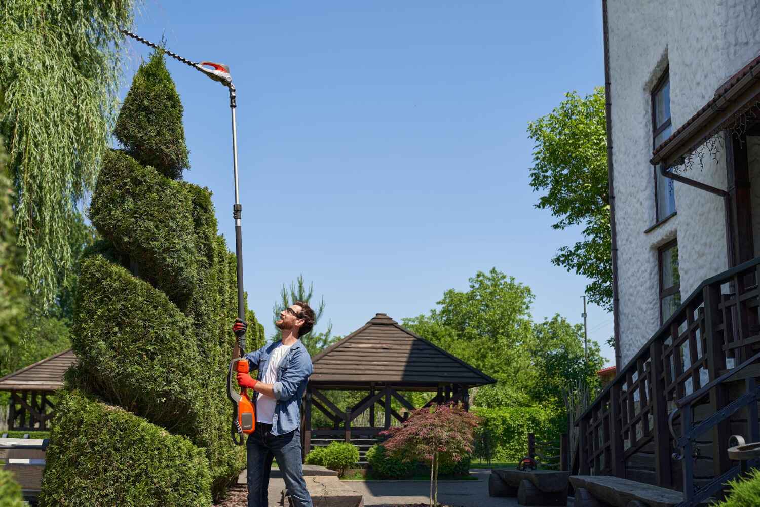 Best Tree Trimming and Pruning  in Robie Creek, ID